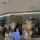 변현선의 풀바디짐 이미지