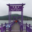 퍼플투어 이미지