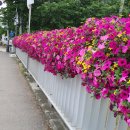 크로앙스 스튜디오 네이버블로그