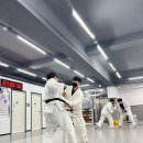 TH 용인대 유도장 이미지