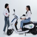 케이알모터스