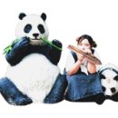 사파동382 이미지