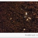 옥토굼벵이농장 네이버블로그