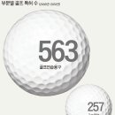 21세기스크린골프 이미지