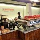 라바트리(LAVATREE) 이미지