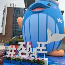 라온아이스크림탕후루 | 2023 장생포 고래축제 토요일 후기, 일요일 축제 정보(주차, 일정표, 폐막식 라인업)