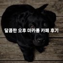 달콤한 오후 | 달콤한 오후 마카롱 카페 후기