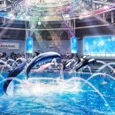 [할인]전종대의 <시, 감성과 이성의 점프>(수)14:30 | 도쿄 겨울 실내 명소｜맥셀 아쿠아파크 시나가와 ‘SNOW AQUARIUM by NAKED’ 기간·시간·티켓 총정리...