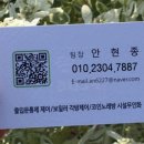 몬스터코인노래연습장 이미지