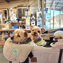 정희네소머리국밥 이미지