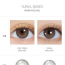 유리알안경원