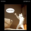호랑이쌀국수 이미지