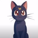 유한회사 다홍 이미지