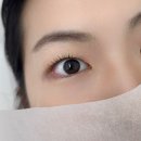 러브미 브로우