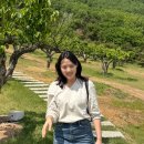 비오에너지 | 바르는 비오틴 비오티아 리볼좀토닉 후기 정수리 볼륨 케어 시작
