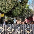 강산동태탕전문점 이미지