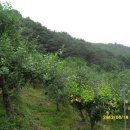 용전축사 이미지