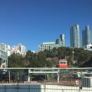 애코랜드 | [부산카페] 해운대 오션뷰 애견 카페_'애코랜드'