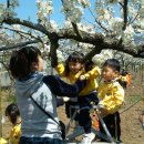 주암민박 이미지