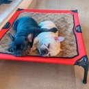 독탑라운지 이미지