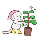 월수금;꽃 이미지