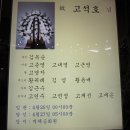 고춘영 부친상 2012,4,25 이미지