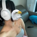 레이지스튜디오 이미지