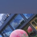 문리버(카페) 화장실 이미지