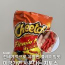플레이밍번 | 미국과자추천 치토스 플레이밍 핫 Flamin' Hot