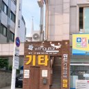 기타렐레(통기타) 이미지