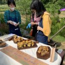 곰실골농장 이미지