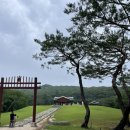 장릉 | 서울 근교 피톤치드 하기 좋은 가족나들이 장소_ 김포장릉 방문후기 (김포장릉주차 입장료 할인)