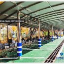 인천여자중학교 내 이미지