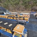 명성메딕스 이미지