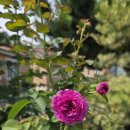 오창농장 이미지