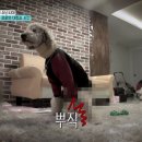 소나무하우스 이미지