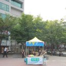 마켓창창