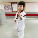 서진태권도 이미지