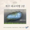 [태교여행/제주] 제주태교여행 맛집추천 | 제주전복맛집 우영담 / 신상 제주베이커리 대형카페 제주당