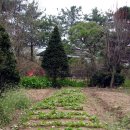 일구농장 이미지