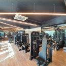 K휘트니스 이미지