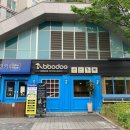 뽀독 | 뽀독애견카페 선택 전 볼 핵심 정보와 체크포인트