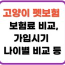 가나다 동물병원 | 고양이 펫보험 완벽 가이드 – 가격, 비교, 나이, 추천 등 총정리!!!