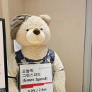 테디밸리CC 이미지