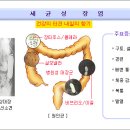 장염 치료 민간 요법 이미지