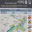 서리풀길 4 이미지