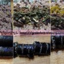 다래김밥 이미지