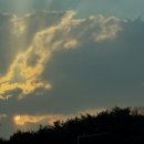 요아정 양산평산점 | 2025.01