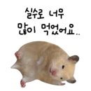강남대로 545-15 이미지