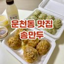 송만두 - 안성시 장기로 50 | 청주 만두 맛집 운천동 송만두 포장 식어도 맛있어